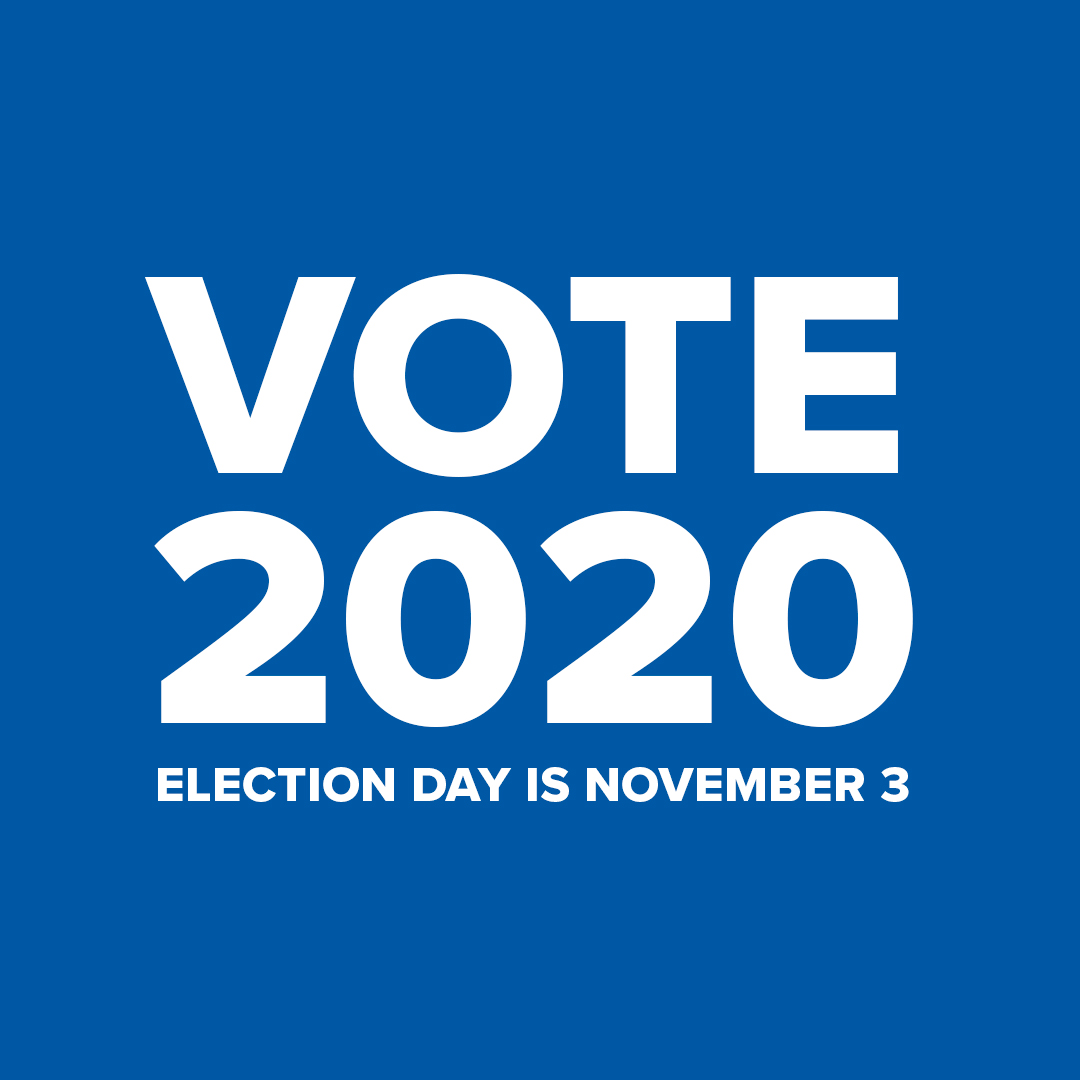 vote2020_1080